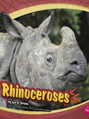 cover image of Rhinoceroses